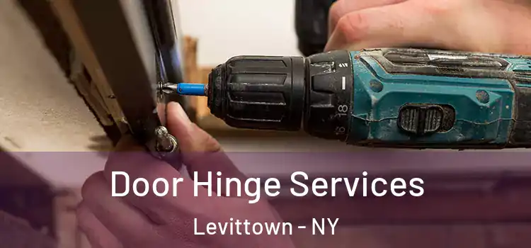  Door Hinge Services Levittown - NY