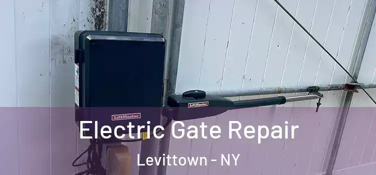 Electric Gate Repair Levittown - NY