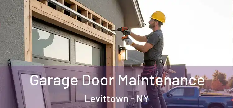 Garage Door Maintenance Levittown - NY