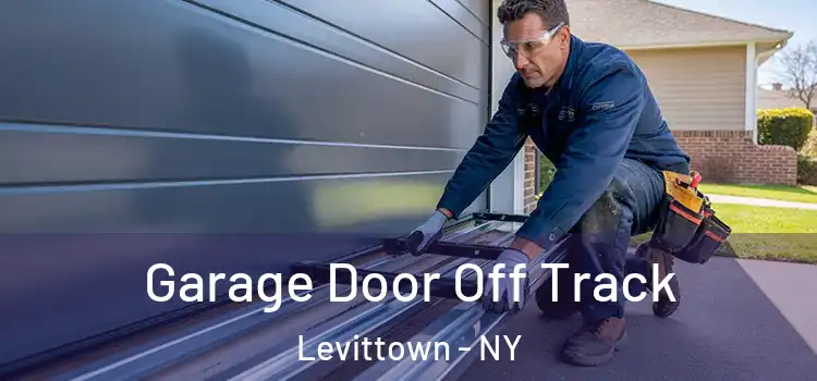  Garage Door Off Track Levittown - NY