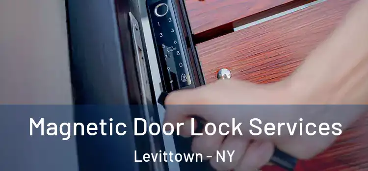 Magnetic Door Lock Services Levittown - NY