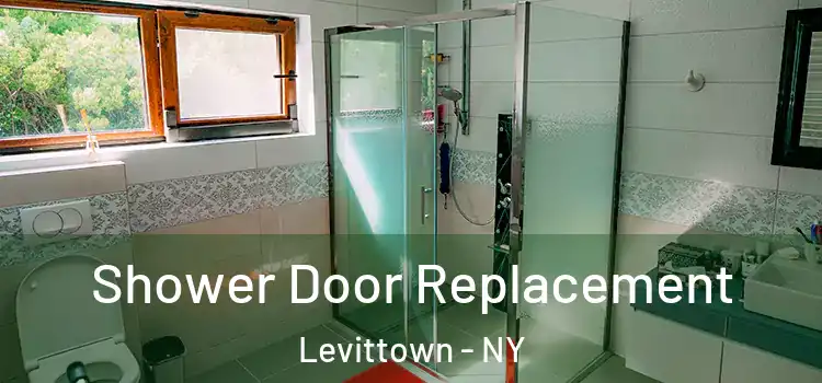 Shower Door Replacement Levittown - NY
